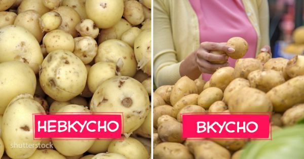 7 отличий молодой картошки, которую не надо покупать