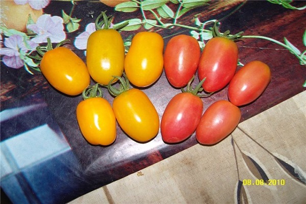 Характеристика и описание сорта томата Медовая Конфетка