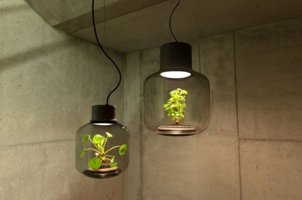 
                   Энтузиасты создали лампу для выращивания растений в критических условиях            