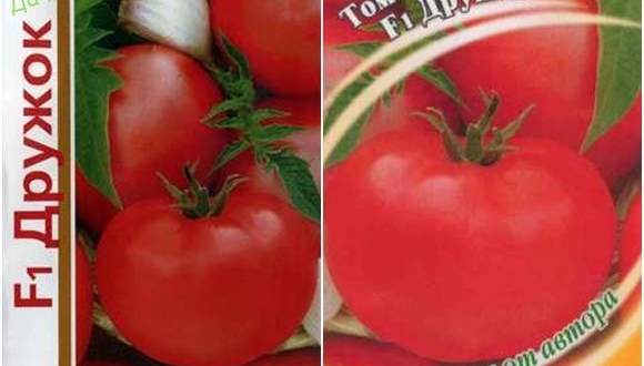 Сорта томатов устойчивых к болезням для теплиц