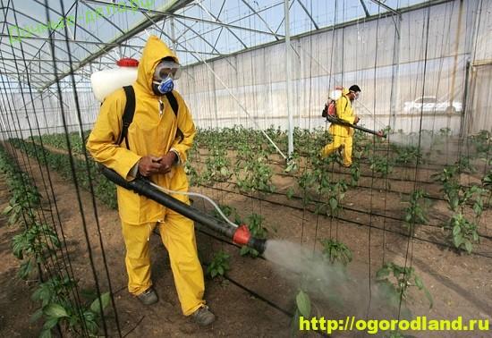 Методы защиты растений от болезней и вредителей