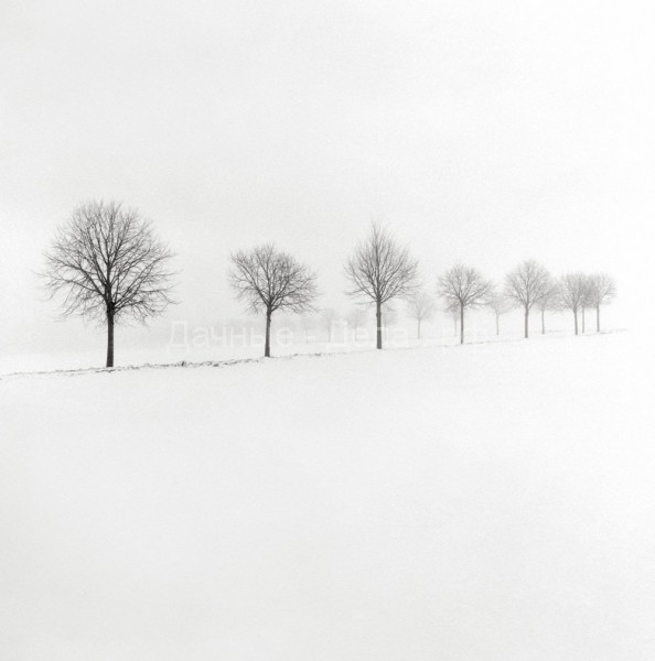Умиротворяющие зимние пейзажи Хокана Странда