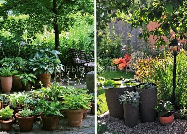 20 идей, которые сделают сад красивым