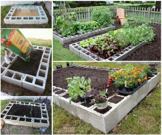 Превосходные идеи, как огородить грядки на садовом участке