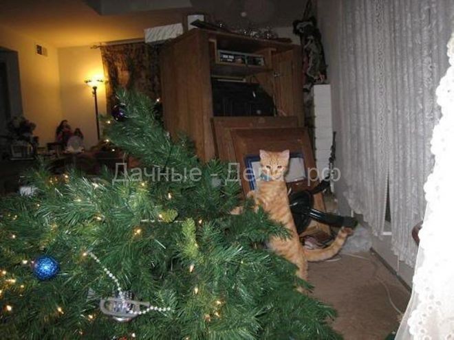 Елка не расставаясь. Упавшая Новогодняя елка кот. Кот уронил елку. Привязал к батарее елку. Собака уронила елку.