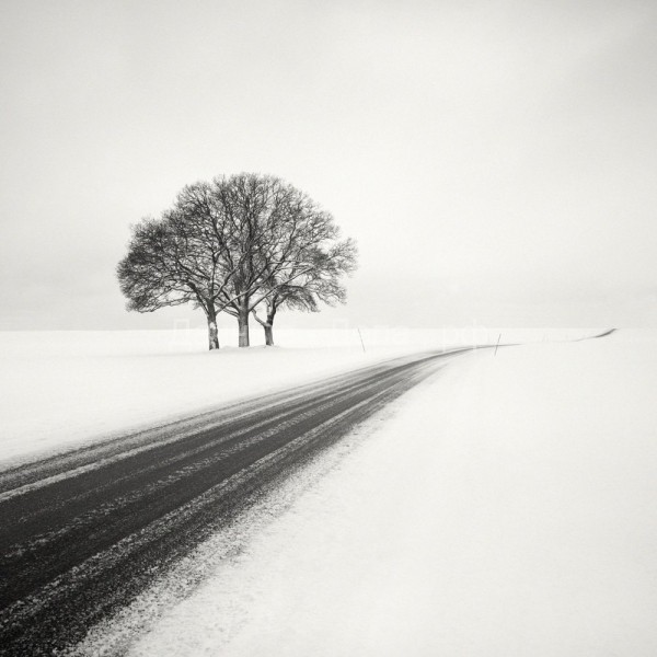 Умиротворяющие зимние пейзажи Хокана Странда