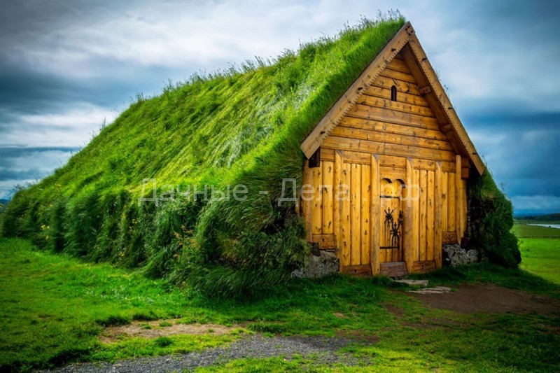 Скандинавские домики с заросшей крышей, в которых хочется поселиться немедленно