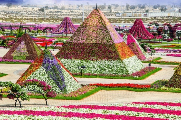 Чудо-сад посреди пустыни. Впечатляющий парк в Дубае поразил пользователей Сети