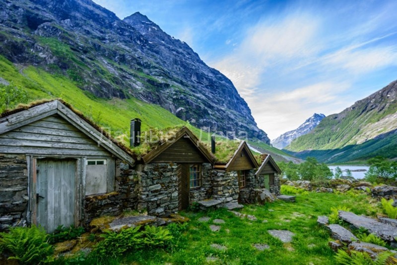 Скандинавские домики с заросшей крышей, в которых хочется поселиться немедленно