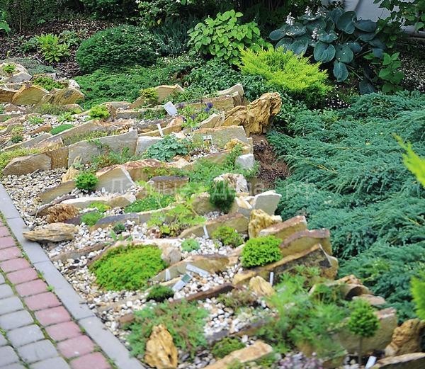 20 идей, которые сделают сад красивым