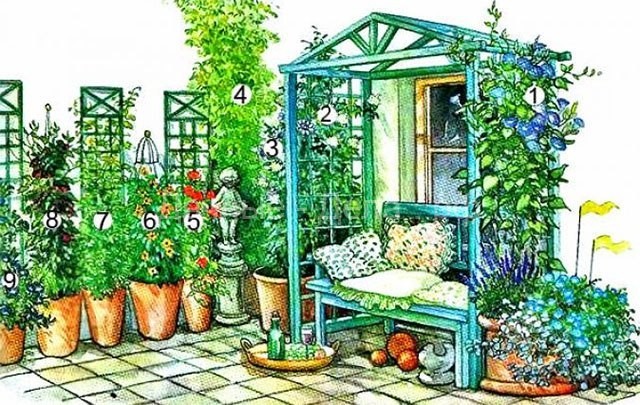 Озеленение двора частного дома — схема подбора вьющихся растений