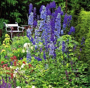 Цветущие садовые многолетники — каталог с фото и описанием
