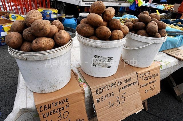 Правда ли, что теперь, чтобы продать картошку со своего огорода, надо будет сначала зарегистрировать ИП и заплатить государству