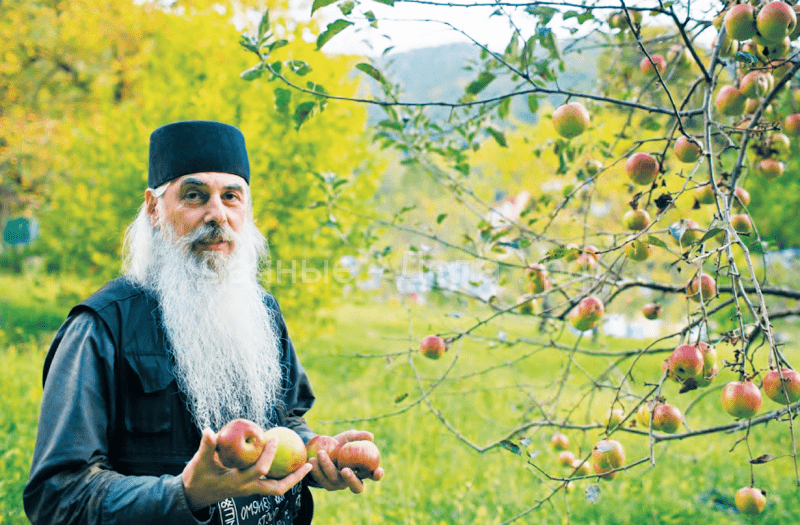 Вот как хранят яблоки валаамские монахи