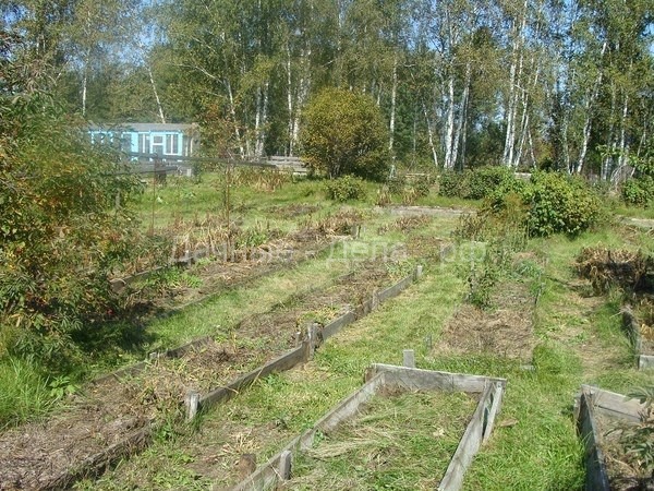 Безпахотное земледелие — основа земледелия древней Руси до Романовых
