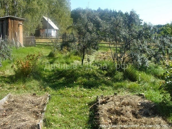 Безпахотное земледелие — основа земледелия древней Руси до Романовых