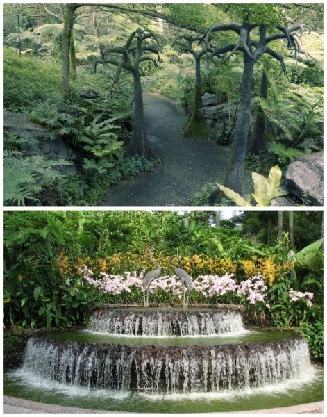 7 лучших ботанических садов мира, по которым хочется бродить часами