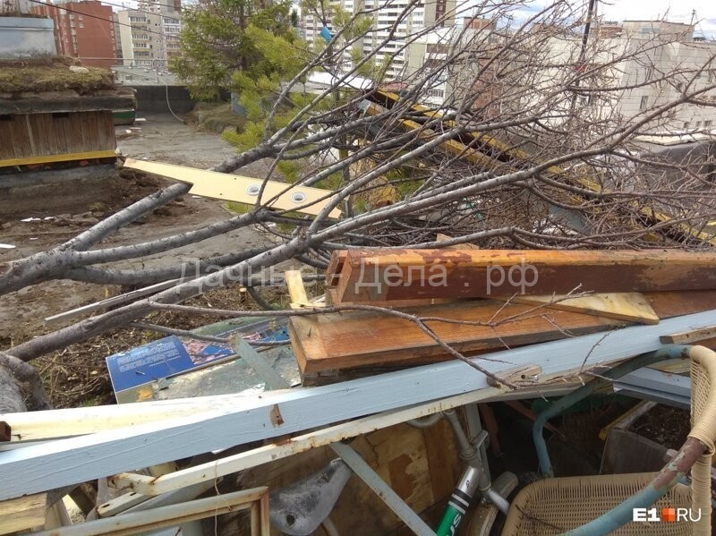 В Екатеринбурге уничтожили сад на крыше 9-этажки, который 18 лет назад разбил местный житель