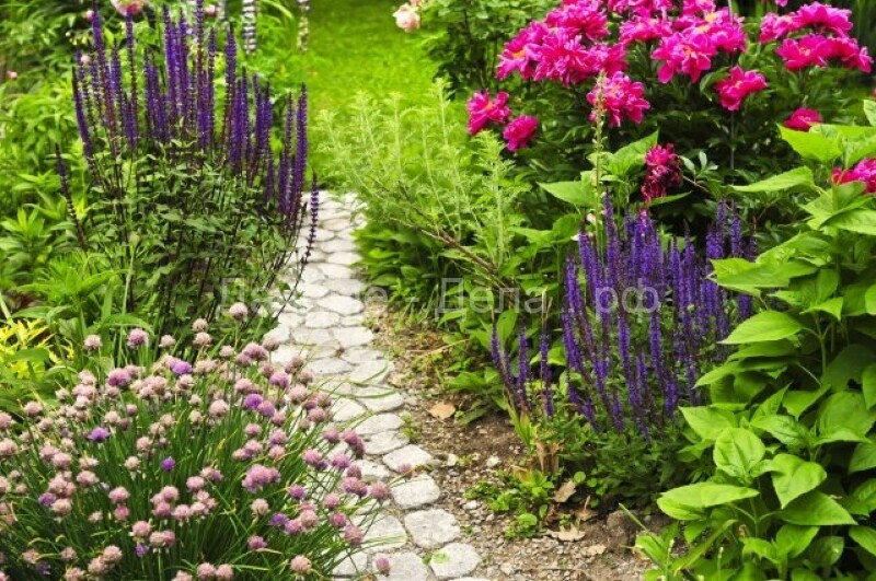 Шведская сказка в вашем саду: 11 советов по созданию сада в скандинавском стиле