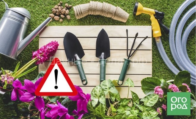 5 ошибок, которые совершают начинающие садоводы