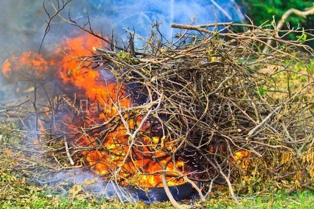 Как правильно сжигать мусор на участке – разбираемся с законами