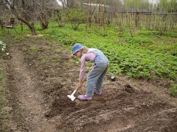 Записки ретрограда, или Почему я возвращаюсь к "дедовским" методам обработки почвы