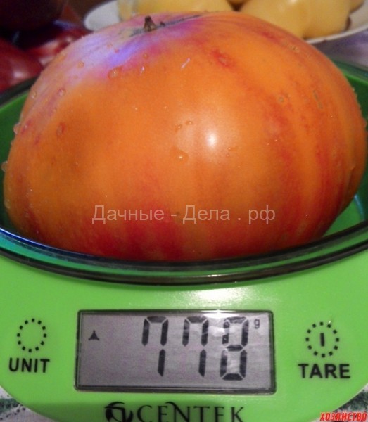 Мои суперсекреты выращивания томатов приносят богатый урожай