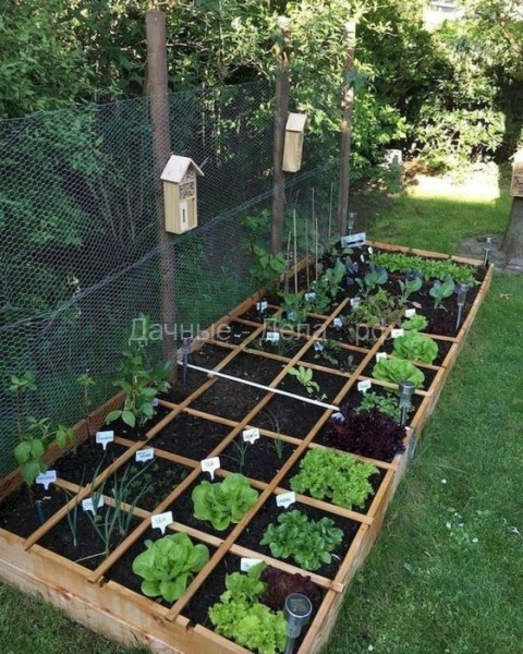 16 идей высоких грядок, которые позволят получить максимальный урожай и увеличить место в саду