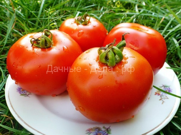 Как сохранить помидоры свежими до Нового года: простой и действенный способ!