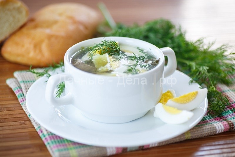 Щавелевый суп &mdash; летнее блюдо русской кухни!
