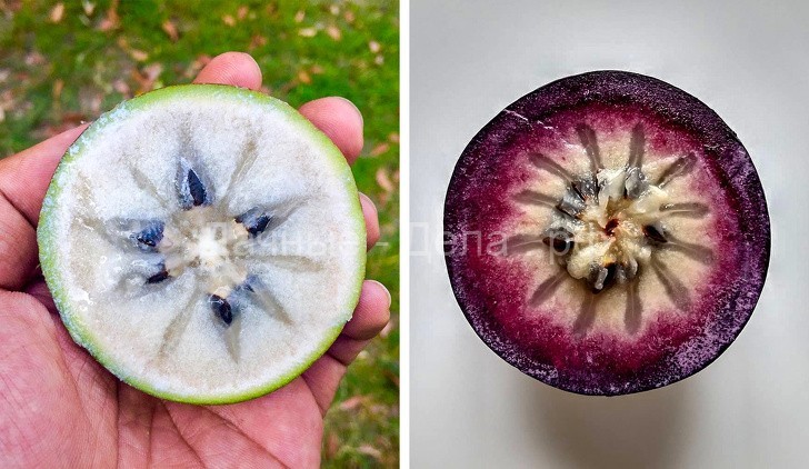 16 редких экзотических фруктов, которые вы увидите в первый раз