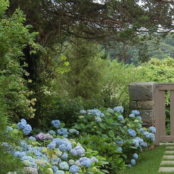 Как создать сад, идеальный для уединенного отдыха: 16 элементов + 65 фото идей