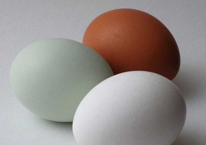 15 мифов о яйцах, в которых нет ни капли смысла