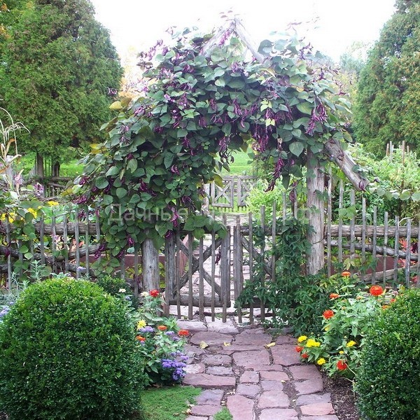 Как создать сад, идеальный для уединенного отдыха: 16 элементов + 65 фото идей