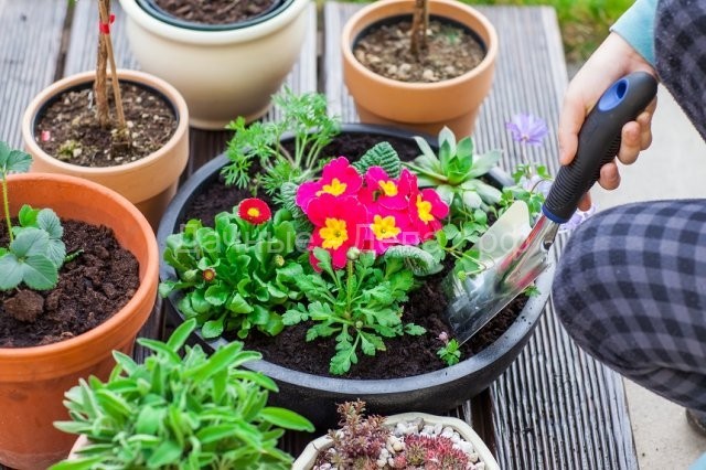 7 вещей, которые нужно сделать в саду, прежде чем уехать в отпуск