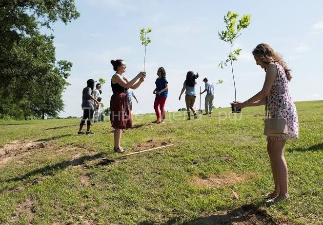 Диплом за саженцы: на Филиппинах выпускники обязаны посадить 10 деревьев