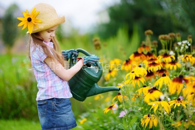 Что делать в августе – 30 самых важных дел в саду, огороде и цветнике