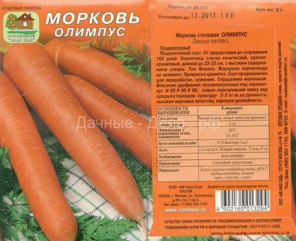 Когда выкапывать морковь? Определяем зрелость корнеплодов по четырем самым верным признакам