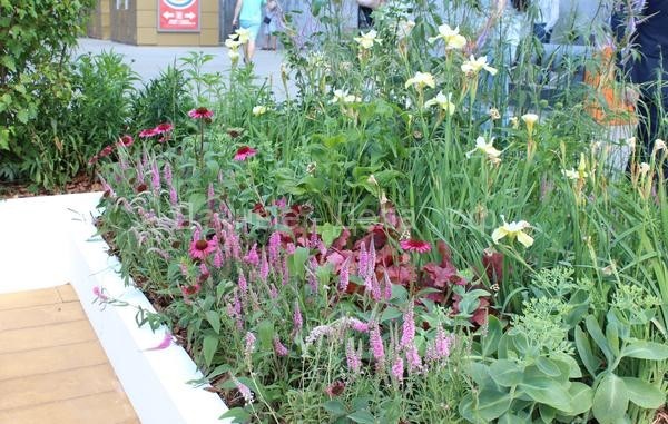 Летние сады "Цветочного джема" в Москве