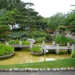 Японский сад: фото и основные тенденции