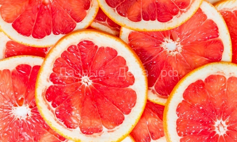 12 самых полезных фруктов