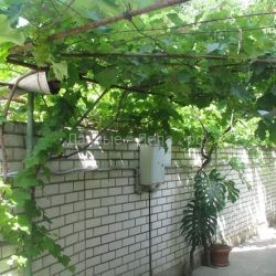Опора для винограда в виде арки и полуарки