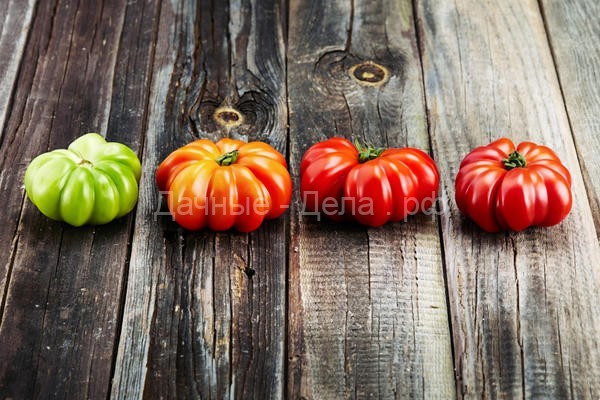 Как собрать и сохранить семена томатов