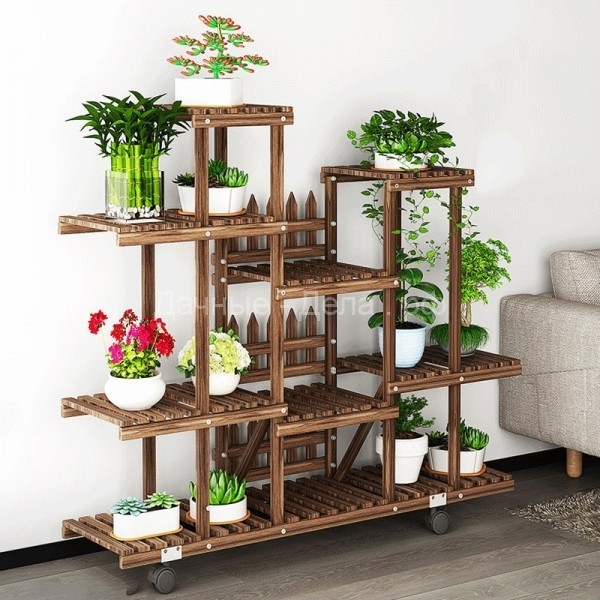 Где размещать растения в квартире?