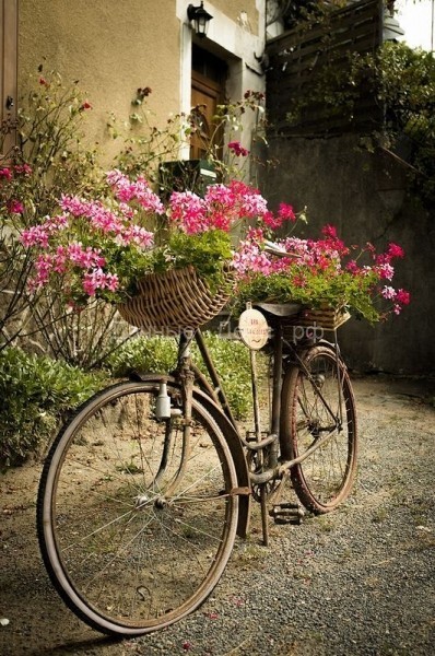Идеи клумб из старого велосипеда — оригинально, по-Провански