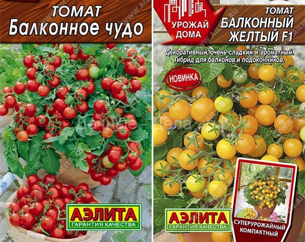 Ампельные томаты - особенности, сорта, выращивание