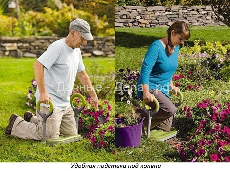 Полезные советы от опытных садоводов и огородников: находки, новинки и удобства