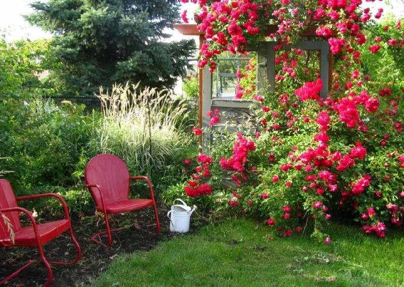 Идеальный сад – несколько законов садовода