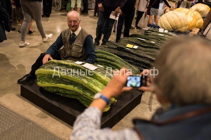 Конкурс гигантских овощей