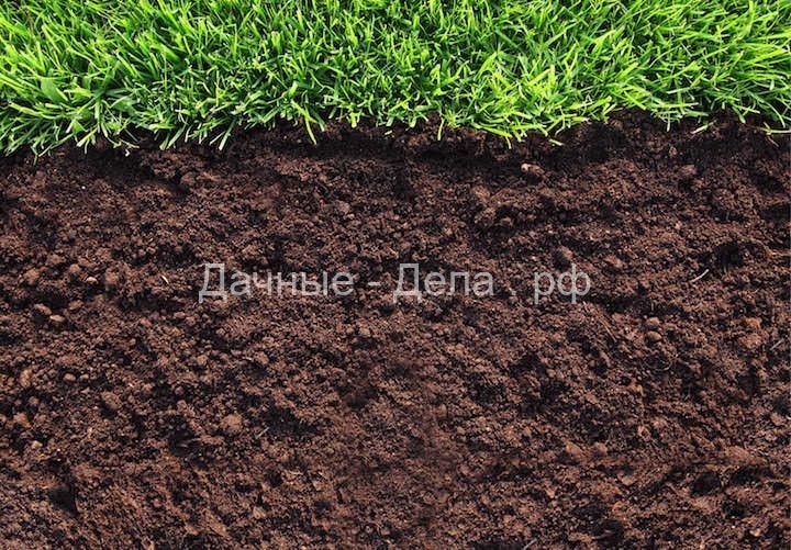 Качество и содержание почвы на даче: гранулометрический состав, содержание органики, как определить уровень кислотности, влажности, плотности